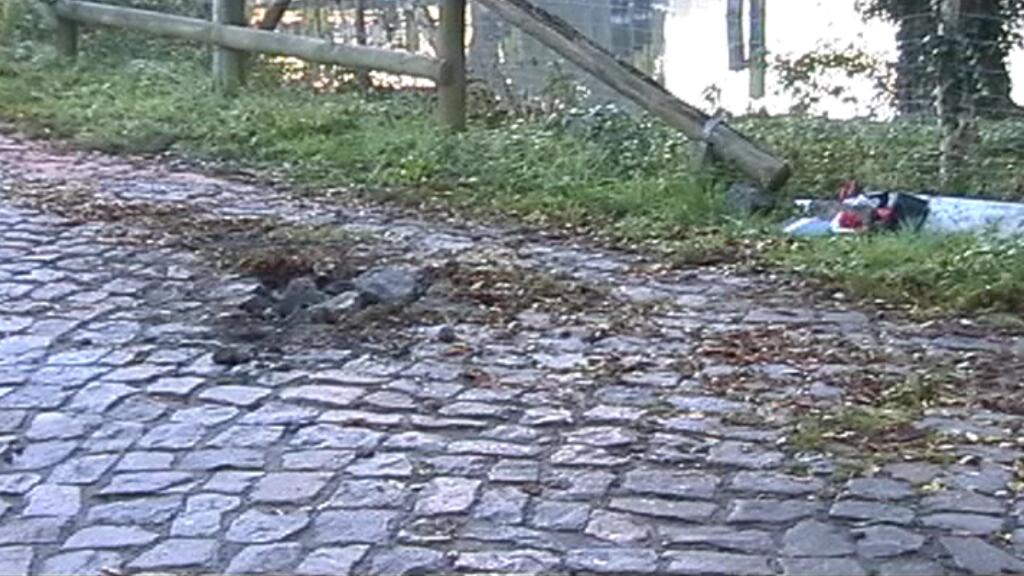 Film abspielen