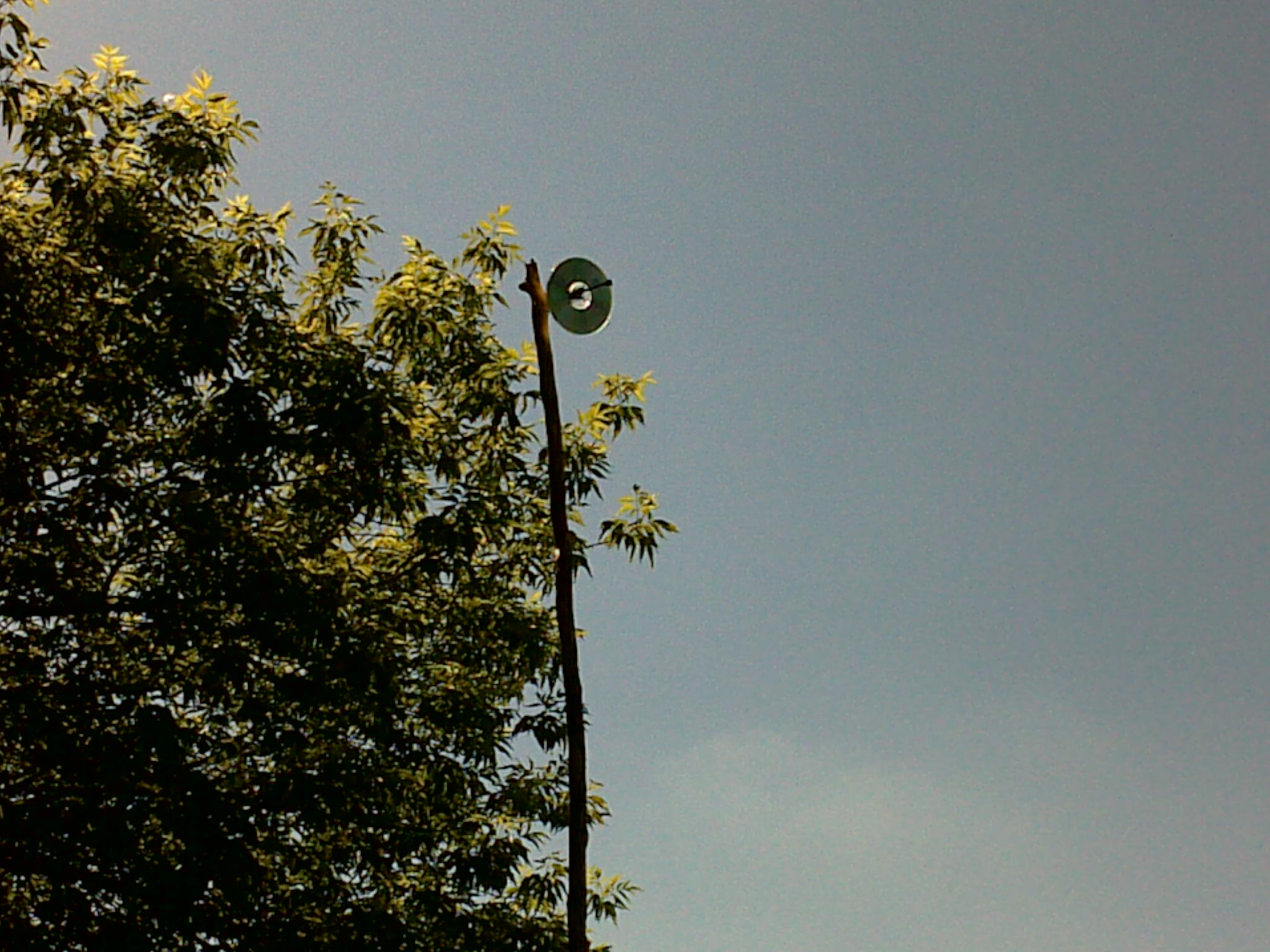 nicht hinterlegt